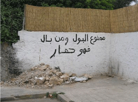 c le maroc